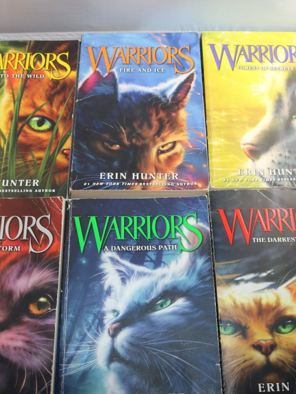 Warrior Cats paperback books by Erin Hunter paperback lot of 6 Prophecies Begin